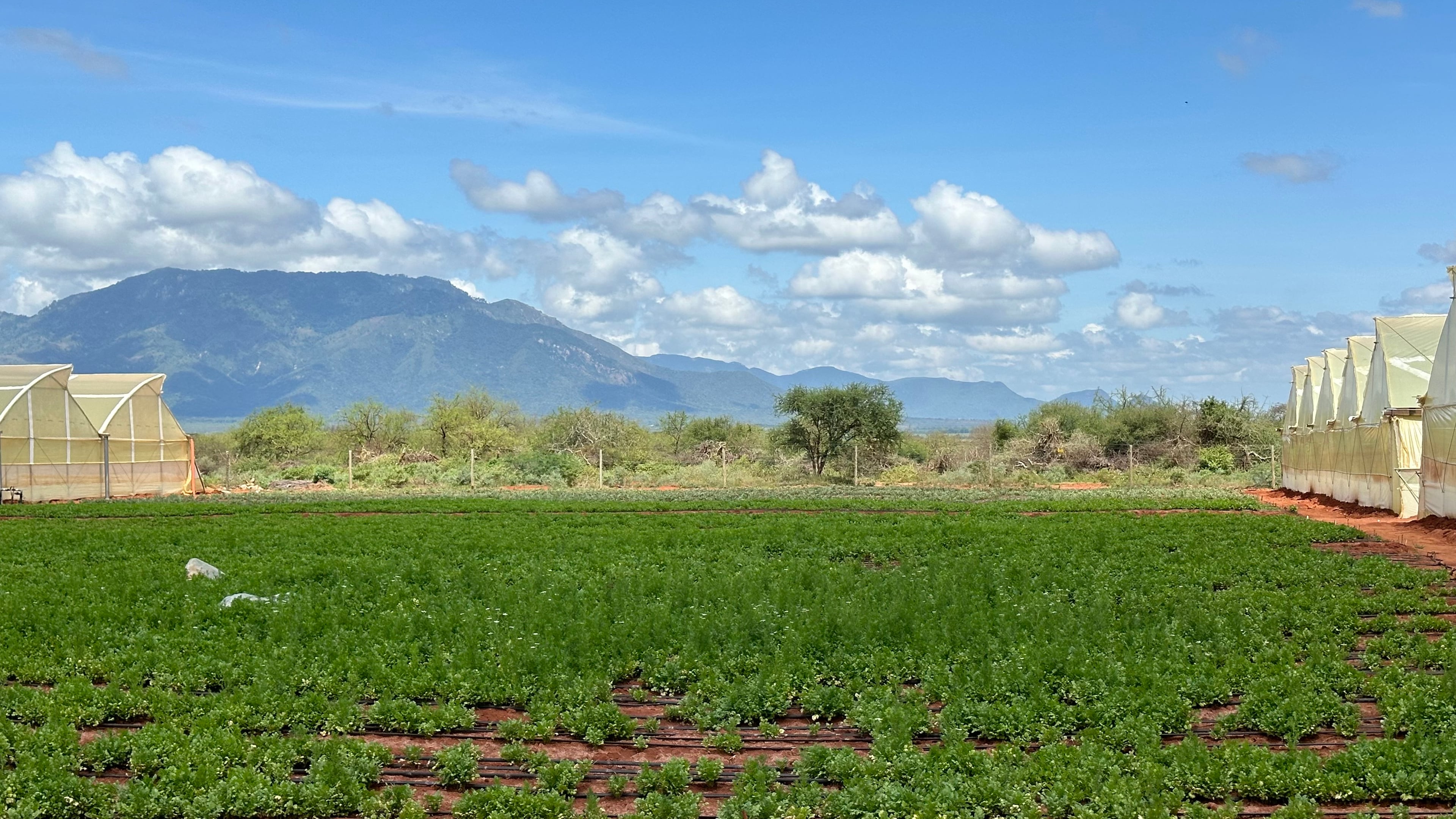 Explore Maonera Farms